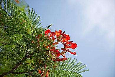 《龙腾世纪4》新概念图公布 展示全新设计的刺客组织